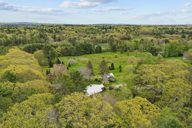 463 Back Meadow Rd, Damariscotta, ME 04543 - aerial view of a forest