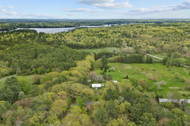 463 Back Meadow Rd, Damariscotta, ME 04543 - aerial view of property's location featuring a forest and a large body of water