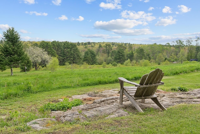463 Back Meadow Rd, Damariscotta, ME 04543 - view of yard with a wooded view