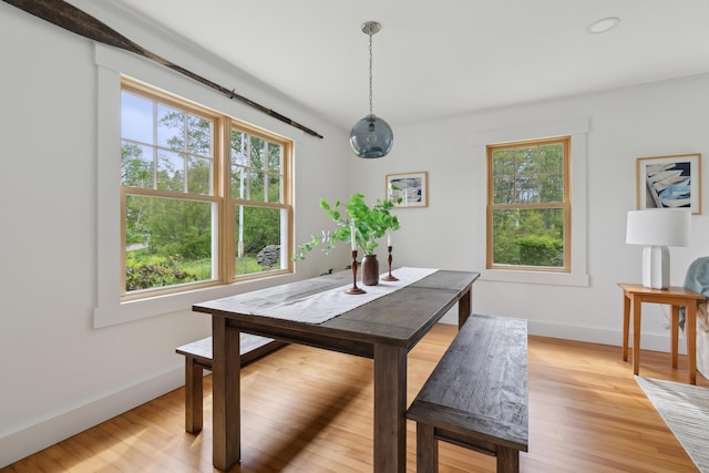 463 Back Meadow Rd, Damariscotta, ME 04543 - dining room featuring baseboards and light wood-style flooring