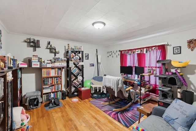 office area featuring crown molding and wood-type flooring