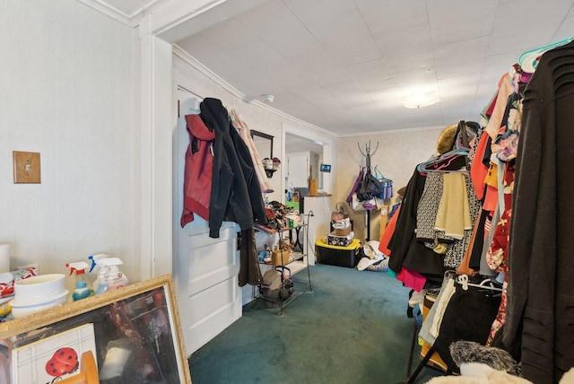 walk in closet with carpet floors