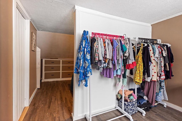 walk in closet featuring wood finished floors