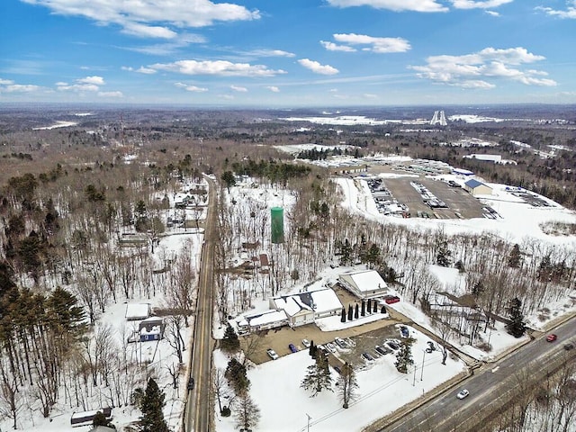 view of snowy aerial view