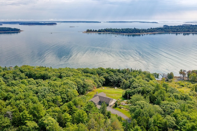 drone / aerial view featuring a forest view and a water view