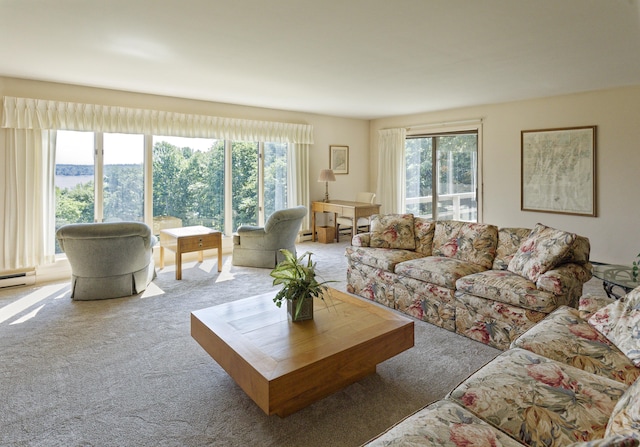 living room with carpet flooring