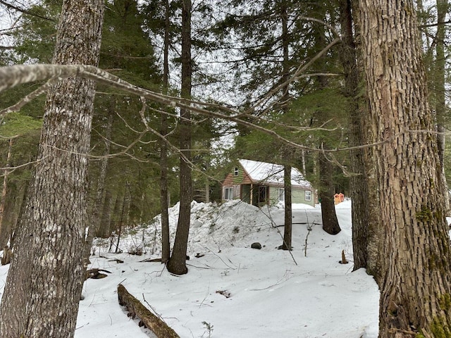 view of snowy yard