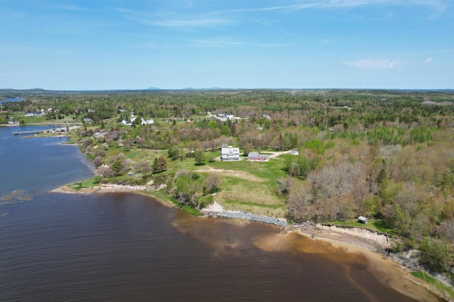 drone / aerial view featuring a view of trees and a water view