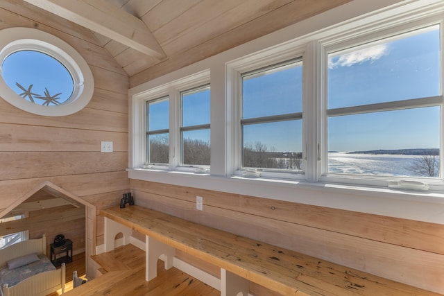 interior space featuring wood walls and wood finished floors