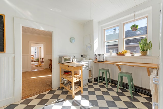 kitchen featuring ornamental molding, a toaster, a wainscoted wall, and light floors