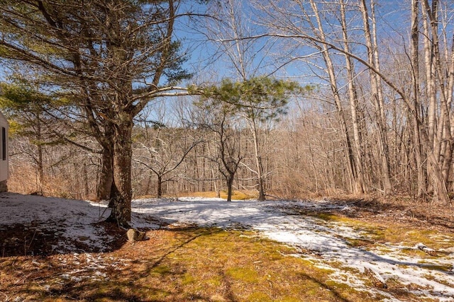 332 Back River Rd, Boothbay, ME 04537 - view of yard