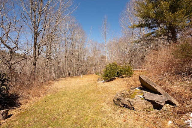 332 Back River Rd, Boothbay, ME 04537 - view of yard