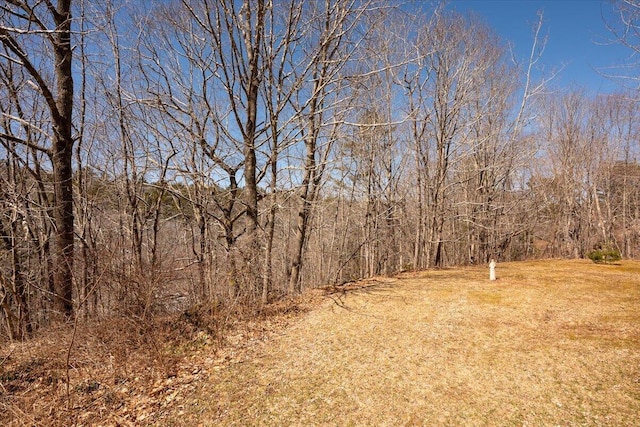 332 Back River Rd, Boothbay, ME 04537 - view of wooded area