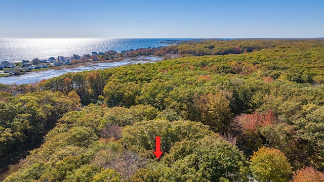 birds eye view of property with a wooded view and a water view