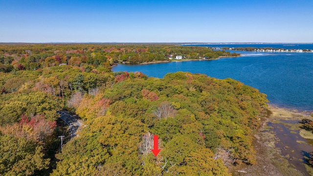 drone / aerial view featuring a forest view and a water view