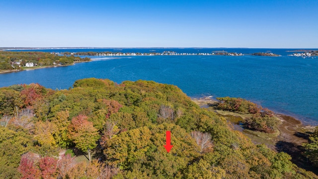 aerial view featuring a view of trees and a water view