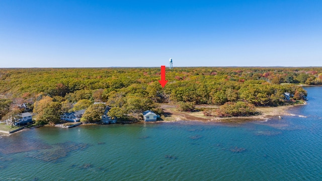 birds eye view of property with a view of trees and a water view