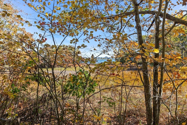 view of landscape