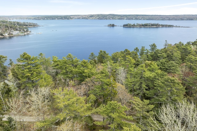 14 Crooked Pine Rd, Boothbay Harbor, ME 04538 - water view with a heavily wooded area
