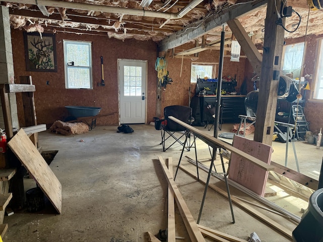 interior space featuring a wealth of natural light and a workshop area