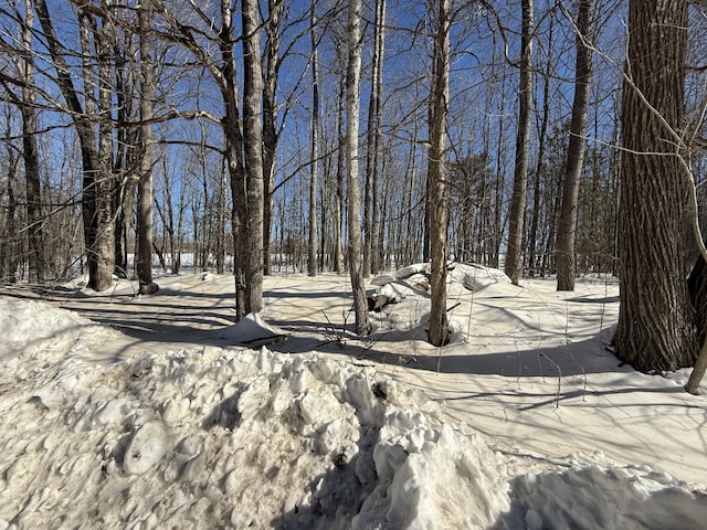 yard covered in snow with a view of trees