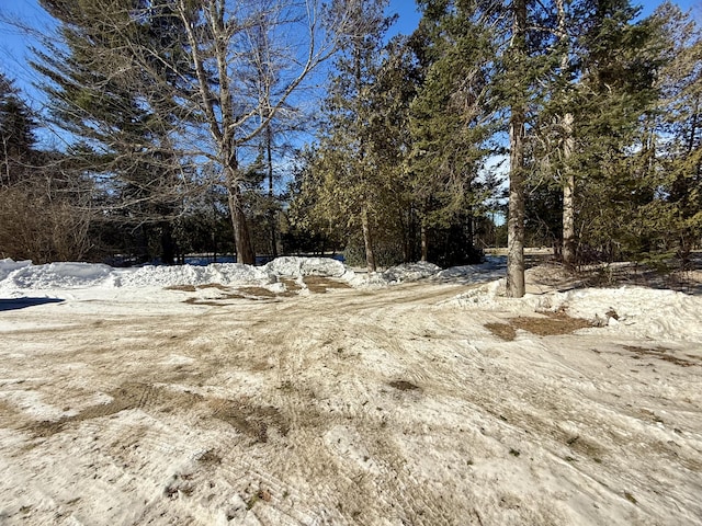 view of yard covered in snow