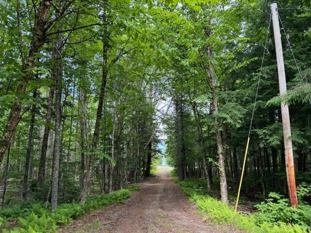 view of road featuring a view of trees