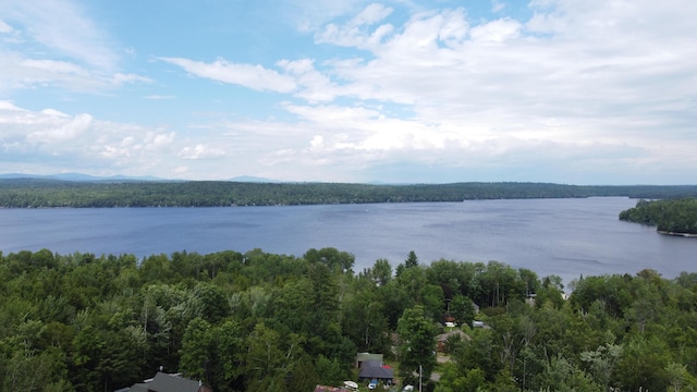 property view of water featuring a view of trees