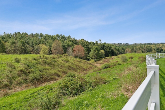 49 Megquier Rd, Gray, ME 04039 - view of yard