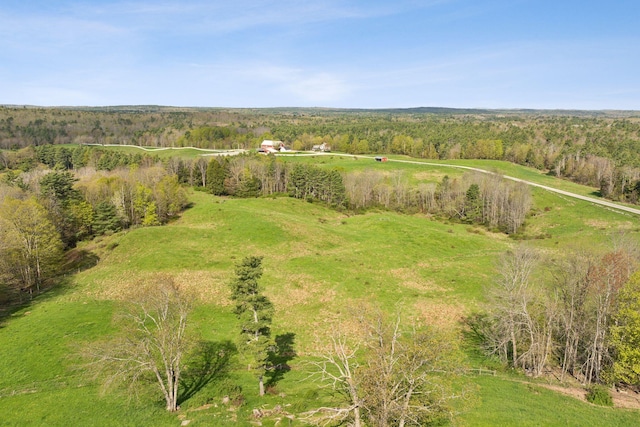 49 Megquier Rd, Gray, ME 04039 - aerial view of a heavily wooded area