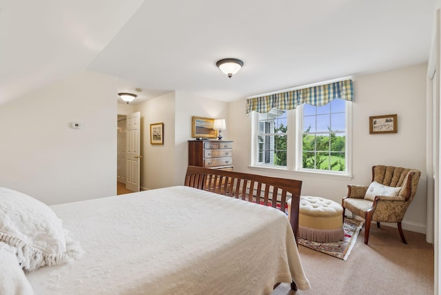 49 Megquier Rd, Gray, ME 04039 - view of carpeted bedroom