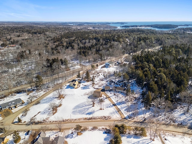 snowy aerial view with a view of trees