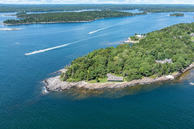 aerial view featuring a forest view and a water view