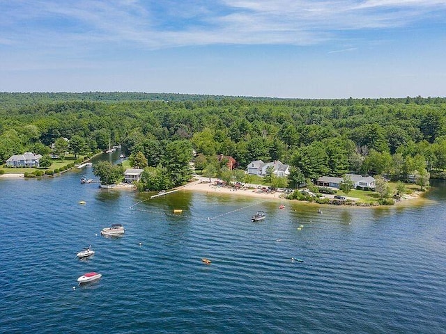 bird's eye view with a water view and a view of trees