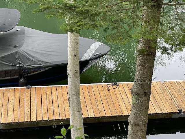 dock area featuring a water view and fence