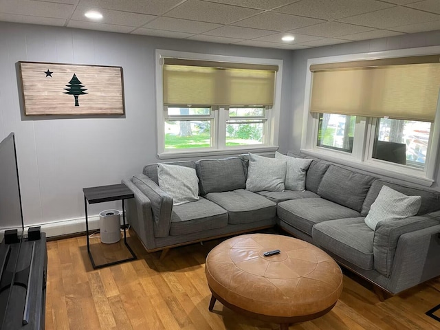 living room featuring a drop ceiling and light wood finished floors