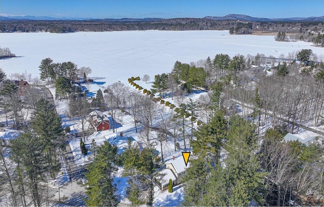 snowy aerial view with a mountain view and a view of trees