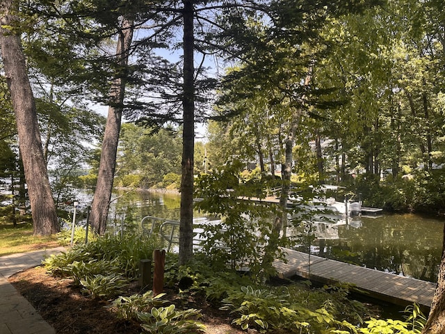 7 Birch Dr, Raymond, ME 04071 - photo 69
