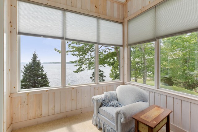 31 Viking Trail Ln, Surry, ME 04684 - photo 18