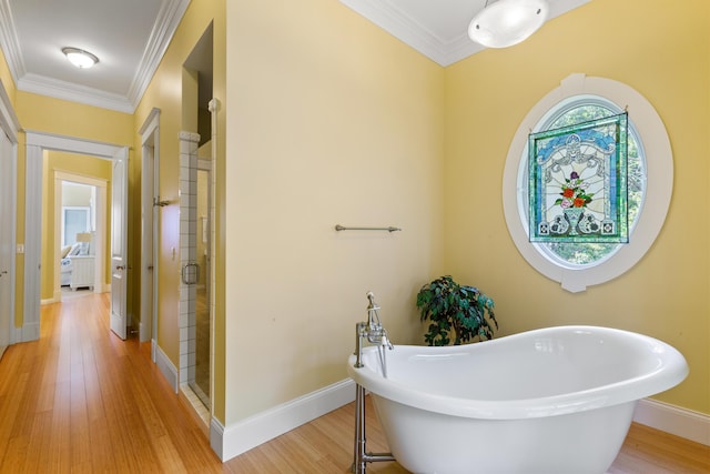 31 Viking Trail Ln, Surry, ME 04684 - photo 21