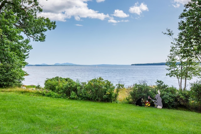 31 Viking Trail Ln, Surry, ME 04684 - photo 43