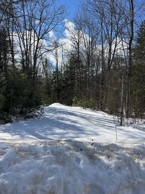 LOT22 Taylor Woods Rd, Bethel ME, 04217 land for sale