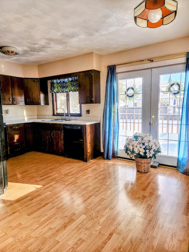 kitchen with light countertops, black dishwasher, light wood-type flooring, and a sink