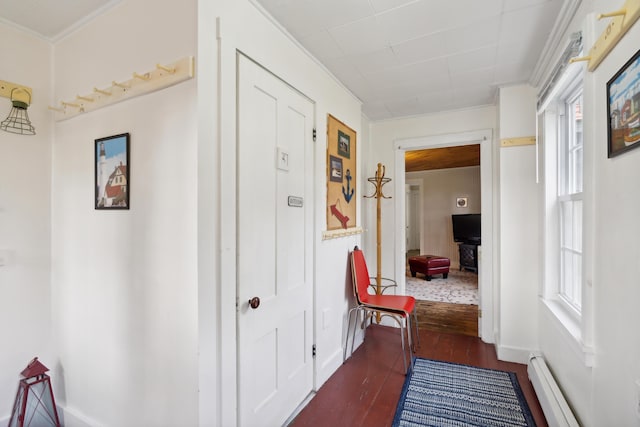 corridor with dark wood finished floors, crown molding, plenty of natural light, and a baseboard radiator