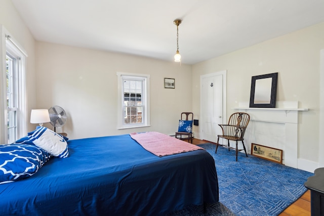 bedroom featuring baseboards, multiple windows, and wood finished floors