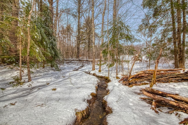 view of snowy landscape