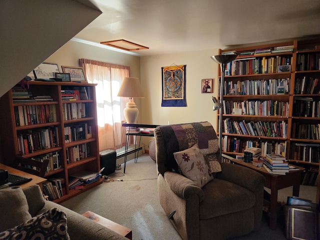 living area with carpet flooring and a baseboard radiator