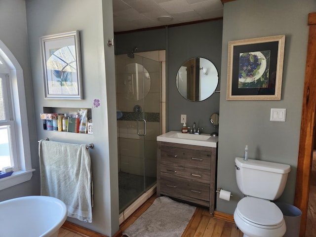 bathroom featuring vanity, wood finished floors, a healthy amount of sunlight, and a stall shower