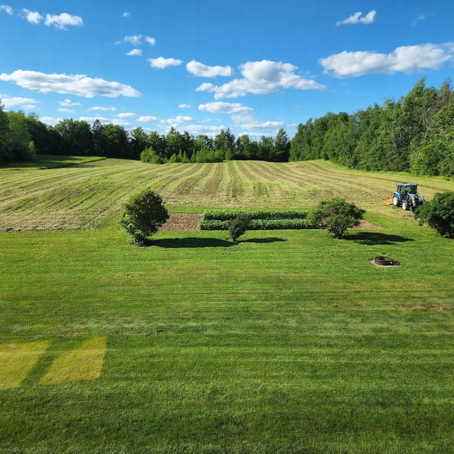 view of home's community with a lawn and a rural view