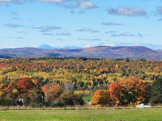 property view of mountains with a forest view